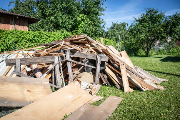 Best Shed Removal  in Lovejoy, GA